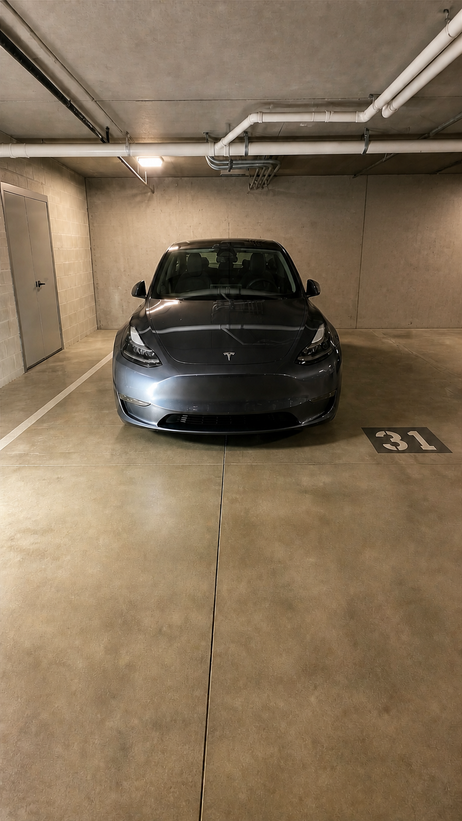 Ceramic Coating — Tesla Model 3